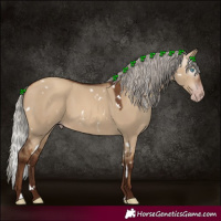 Horse Color:Gray White Spotted Silver Sable Champagne Dun 