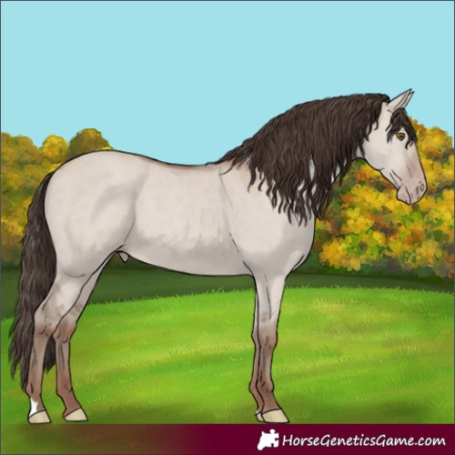 Horse Color:Classic Champagne Dun 