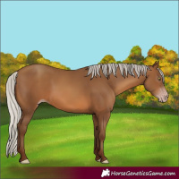 Horse Color:Gray Silver Sable Champagne 