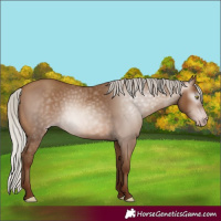 Horse Color:Gray Silver Sable Champagne 