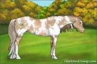 Horse Color:White Spotted Liver Chestnut Pearl 