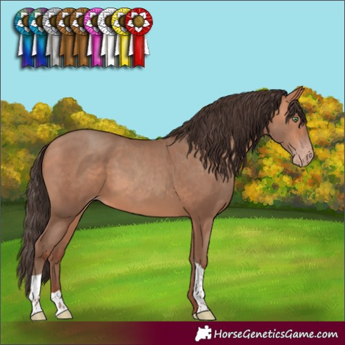 Horse Color:Amber Champagne Tobiano Rabicano 