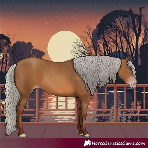 Horse Color:Gray Silver Sable Champagne 