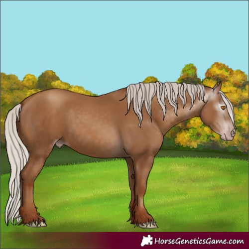 Horse Color:Gray Silver Classic Champagne 