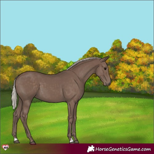 Horse Color:Silver Black 
