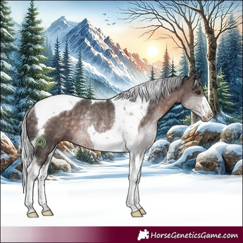 Horse Color:Platinum Silver Brown Tobiano Rabicano