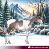 Horse Color:Platinum Silver Brown Tobiano Rabicano