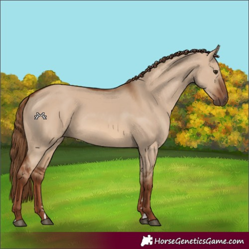 Horse Color:Red Dun