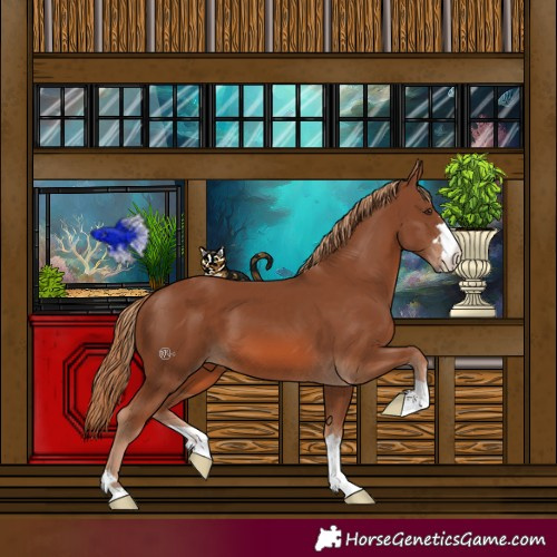 Horse Color:Chestnut 