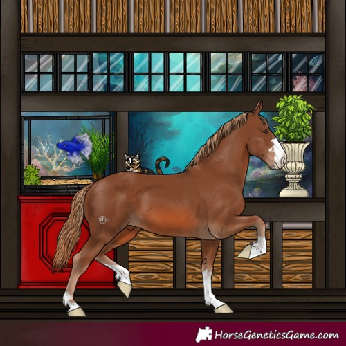 Horse Color:Chestnut 