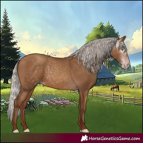 Horse Color:Gray Silver Sable Champagne 