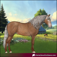 Horse Color:Gray Silver Sable Champagne 