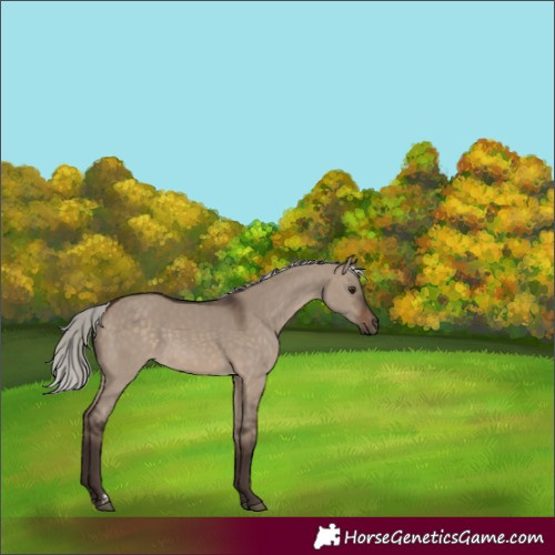 Horse Color:Silver Brown Dun