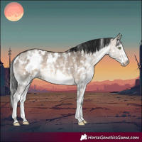 Horse Color:White Spotted Brown Dun Sabino Brindle 