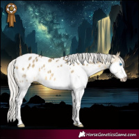 Horse Color:White Spotted Silver Buckskin Dun Splash Near Leopard Rabicano