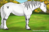 Horse Color:White Spotted Silver Bay Chinchilla Onyx 