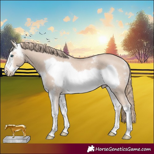 Horse Color:Smoky Creme Sabino Frame Rabicano
