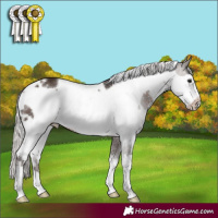 Horse Color:White Spotted Silver Brown Frame 