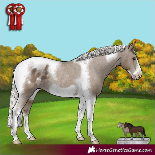 Horse Color:Silver Smoky Black Tobiano Frame Appaloosa Rabicano 
