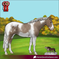 Horse Color:Silver Smoky Black Tobiano Frame Appaloosa Rabicano 