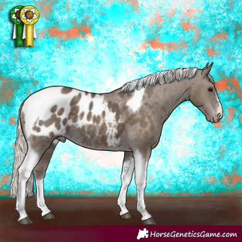 Horse Color:Silver Smoky Black Tobiano Appaloosa Rabicano 