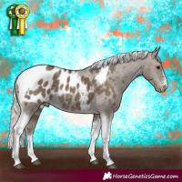 Horse Color:Silver Smoky Black Tobiano Appaloosa Rabicano