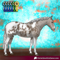 Horse Color:Silver Smoky Black Tobiano Appaloosa Rabicano