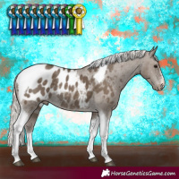 Horse Color:Silver Smoky Black Tobiano Appaloosa Rabicano 