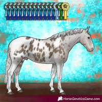 Horse Color:Silver Smoky Black Tobiano Appaloosa Rabicano 