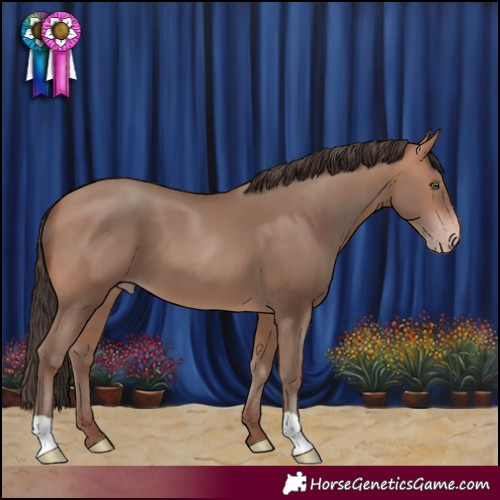 Horse Color:Sable Champagne 