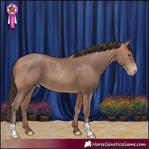 Horse Color:Sable Champagne 