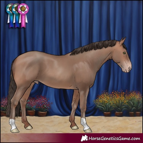 Horse Color:Sable Champagne 