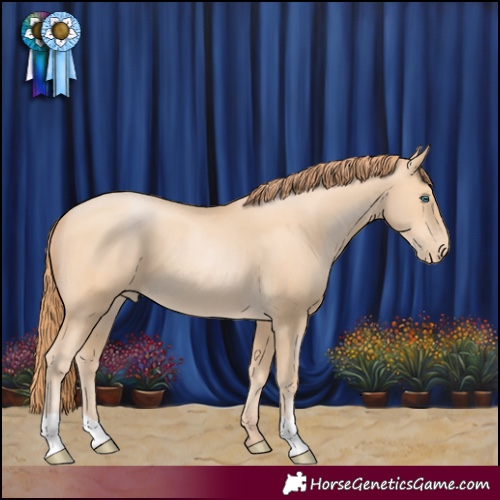 Horse Color:Buckskin Pearl 