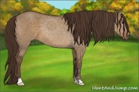 Horse Color:Liver Red Dun