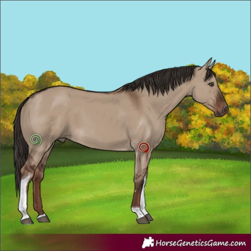 Horse Color:Liver Red Dun Tobiano Rabicano 