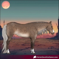 Horse Color:Silver Brown Dun 