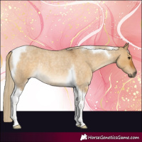 Horse Color:Chocolate Palomino Roan Dun Tobiano Rabicano 