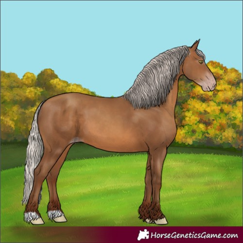 Horse Color:Gray Silver Sable Champagne 