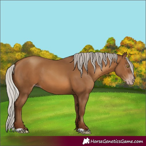 Horse Color:Gray Silver Sable Champagne 
