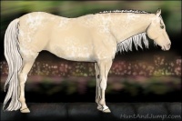 Horse Color:Silver Classic Cream Champagne Ice 