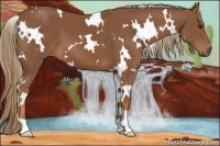 Horse Color:White Spotted Chestnut