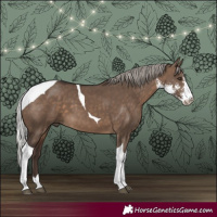 Horse Color:Silver Brown Dun Sabino Tobiano 