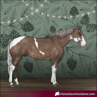 Horse Color:Silver Brown Dun Sabino Tobiano
