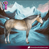 Horse Color:Gray White Spotted Buckskin Dun 