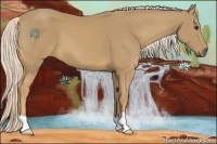 Horse Color:Palomino 