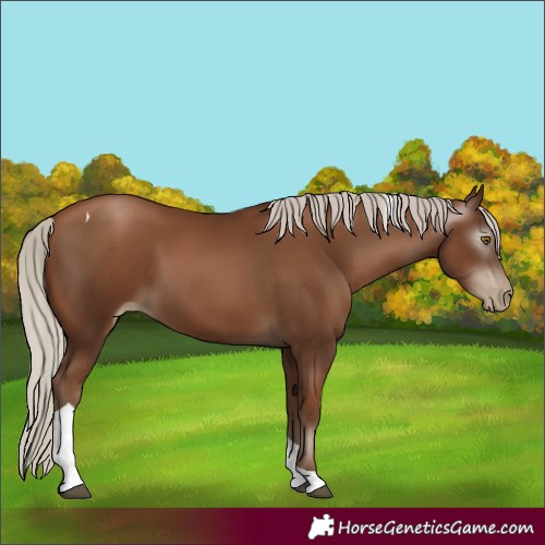 Horse Color:Gray Silver Black Pearl Tobiano 