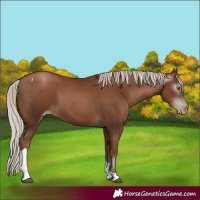 Horse Color:Gray Silver Black Pearl Tobiano 