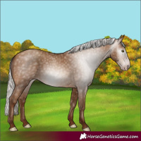 Horse Color:Gray Silver Sable Champagne 