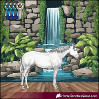 Horse Color:Gray White Spotted Silver Sable Champagne Dun Splash Frame Appaloosa Rabicano