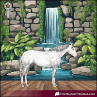 Horse Color:Gray White Spotted Silver Sable Champagne Dun Splash Frame Appaloosa Rabicano 